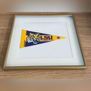 College/University Pennant Flags Framed 11x13